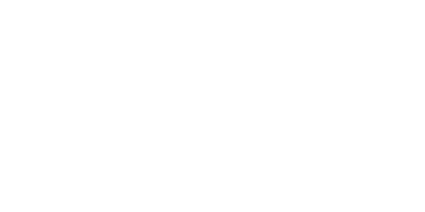 넥슨 partner logo